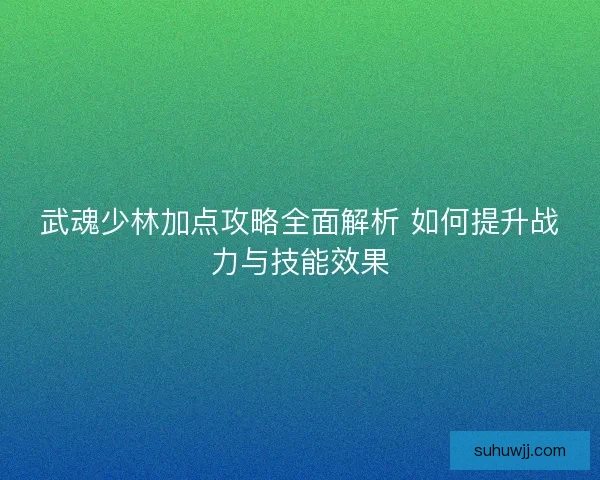 武魂少林加点攻略全面解析 如何提升战力与技能效果