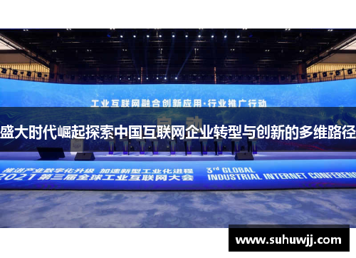 盛大时代崛起探索中国互联网企业转型与创新的多维路径