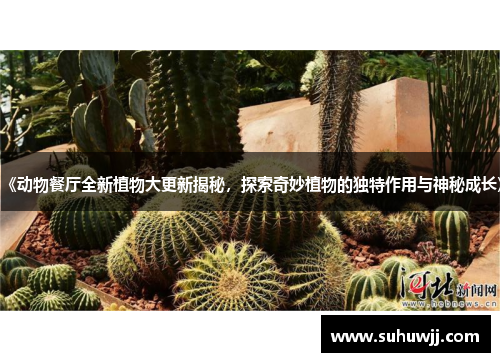 《动物餐厅全新植物大更新揭秘，探索奇妙植物的独特作用与神秘成长》