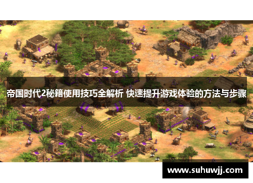 帝国时代2秘籍使用技巧全解析 快速提升游戏体验的方法与步骤