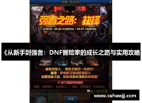 《从新手到强者：DNF冒险家的成长之路与实用攻略》